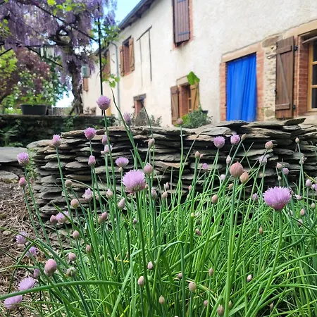 La Ferme Des Grandes Oreilles בית חווה Pampelonne