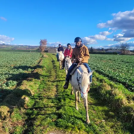 La Ferme Des Grandes Oreilles Pampelonne