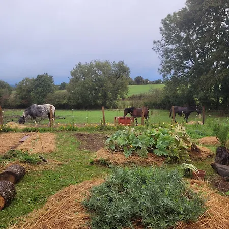La Ferme Des Grandes Oreilles Pampelonne